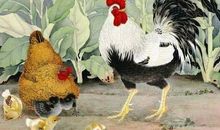 12生肖中最“薄情”的4个生肖，有了新欢，立即忘旧爱