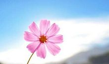 6月1号起财富收入增长，3大生肖前途无量，福运连绵