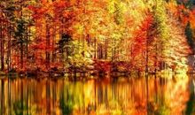 这三个生肖男，成熟稳重，会疼老婆，最值得嫁