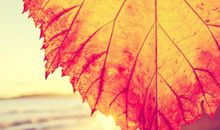 9月财运如雨后春笋，钱越赚越多，熬过了苦日子就能翻身的生肖