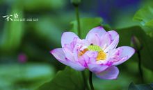 天赐鸿运的3生肖，11月下旬有大喜，财运翻番，闷声不响发大财