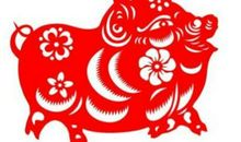 1971年属猪的人2021年运势 51岁佩戴什么吉祥物好