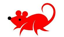 鼠年有哪些人真的犯太岁,哪几个生肖2020年犯太岁