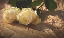 今年这些生肖能躲过相亲劫？不存在的！