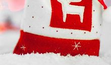 猪年走衰运，明年财运通达的生肖人