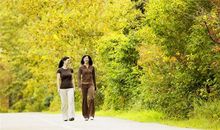 猪年的生肖龙人运势如何