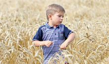 猪年宝宝取名的宜忌用字