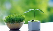 一旦遭受忽视或怠慢，这三大星座就会彻底离开你的生活