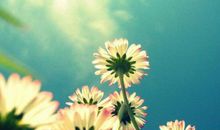 重情重义！一旦认可你，一辈子都不拿你当外人的三大星座