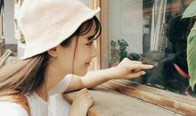 郑博士一周生肖运势（11.11-11.17）