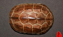 六硬币算卦原理与步骤详解，收藏每日可测(2)