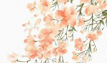 2020金鼠年11月22号小雪出生的男孩起什么名字有涵义，五行属什么