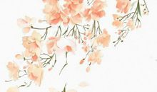 2020年庚子11月23号出生的男孩五行属什么，如何起名字