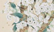 男孩起名：2020年11月29号出生的男孩怎么起名字，五行属什么