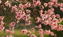 生肖属蛇的女人2020年贵人运，人缘运势强劲，能得贵人暗中扶持