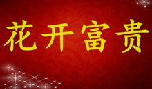 11月多财多福，事业走向巅峰，一旺旺到年底的三生肖