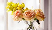 未来两个月（偏财运）飞涨，钱多事顺，富贵满盈，堆金积玉的星座