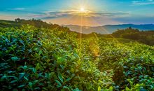 15.16号喜事到，运势如虹，钞票堆满山，喜变大富翁的三生肖