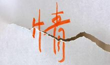 天蝎座的人不善于把内心的真挚情感表达出来，表面上很冷酷