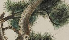 2月20号起转好命，送走霉运小人，撞到发财机遇，收获丰厚的生肖