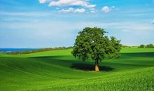 6月惹不起，运势顺畅，横财一路大旺，好梦成真的生肖