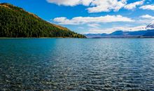 贪小便宜，购物时只买最便宜的生肖女