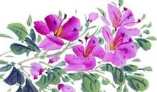 2020年4月4日三月十二生的男孩命运好吗，起什么名字有寓意