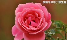 恭喜四生肖好运来袭，8月29号开始钱财进账，事业飞黄腾达!