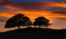 苏珊米勒一周星座运势（2.24-3.1）