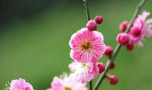 未来1周好运加持，满满财运围绕身边，出人头地光耀门楣的3生肖