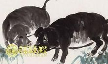 1983年属猪的幸运色