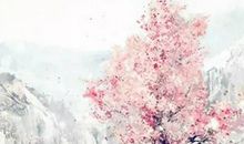 八字取名：2020年1月13号出生的男孩命运解析，起名宜用什么字