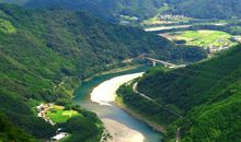 面对人情世故不知所措的生肖女