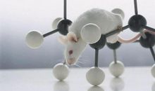 嘴巴说的好听，心坎却移情别恋的生肖男