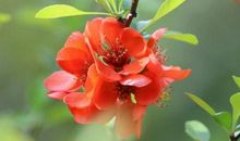 5月26.27号，运势滚滚来，横财不断，子孙满堂的属相