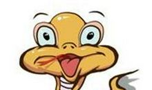 看似乖巧，实则脾气变化无常的生肖