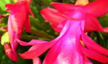 未来7天，4属相天降横财，走上成功快车道，致富发家，迎幸福生活