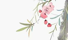 2020年11月7号出生的女孩参考四书五经取名字