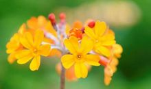 下个月，霉运消散，财运不断的3大生肖