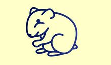 最新的犯太岁生肖属相