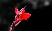 未来俩月财运笼罩，好运缠身，正财偏财齐旺，四属相赚得丰厚家产