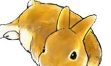 2020年属兔人桃花运好吗，爱情运势怎么样