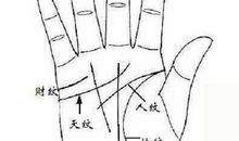 手相：天部月形纹（月晕纹），形状完整、纹路秀丽清晰最佳