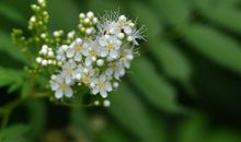 未来两年财运飙升，横财不可挡，财源滚滚，四属相三番五次发横财