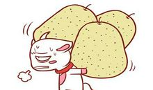 白羊座的上升星座是什么星座，对其性格有何影响？