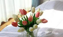 属狗的人2019年过年前能交到女朋友吗？桃花运如何？(图文)