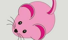 2008年属鼠人本命年多少岁，2020年运势好不好？