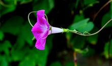 11月22号起有贵人帮助，顺风顺水，横财遍地，大富大贵的四属相