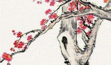 2020年4月7日三月十五生的男孩命运好吗，起什么名字有寓意