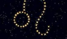 A型血狮子座，你们热情开朗，异性缘极佳，从不缺爱